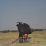 Rajasthan to conduct wildlife census at 100 plus waterholes on May 1–2 | Jaipur News