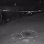 Man stabbed by friends after quarrel in east Delhi | Delhi News