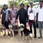 Abandoned Husky found dead, 5 rescued, ’30 missing’ | India News