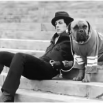 Before Rocky’s success, Sylvester Stallone sold his dog for $40 for survival: ‘We were both hungry, and living in a flophouse’ | English Movie News