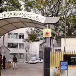 ED raids in Kolkata in connection with fugitive criminal Sona Pappu | Kolkata News