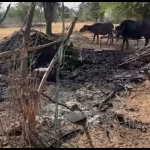 Mob torches houses in Banswara village after youth’s brutal murder | Jaipur News