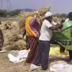 Raj ranks 1st in trade on e-NAM platform | Jaipur News