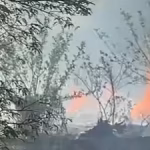 At least 13 killed, several injured in blast at fireworks unit in Kerala | India News