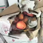 8,500kg rotten fruits, 1,500kg expired dates destroyed in Muhana Mandi raid | Jaipur News
