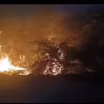 Wildfire in Jaisalmer razes thousands of acres, threatens defence establishments | Jaipur News